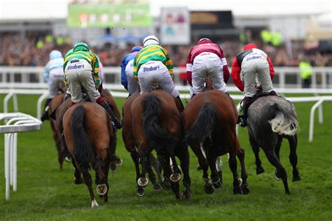 Cheltenham Festival Day One: race.